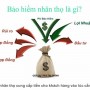 Dịch Vụ Bảo Hiểm Cho Tiểu Bang AZ, CA, TX, MO